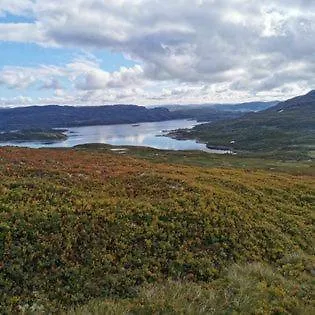 Haukeli Hotell Leilighet * Haukeli